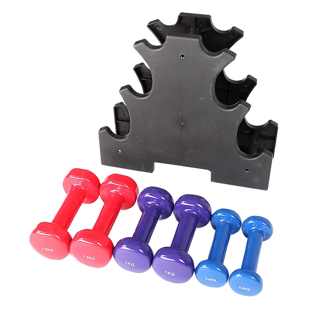 6-Piece Dumbbell Set with Rack