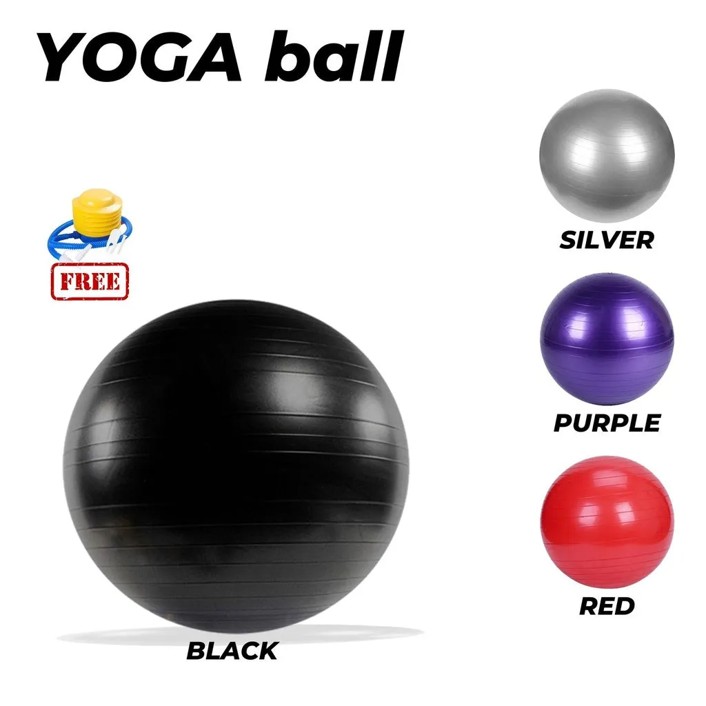 75cm Anti-Burst Yoga Ball with Pump for Home Gym