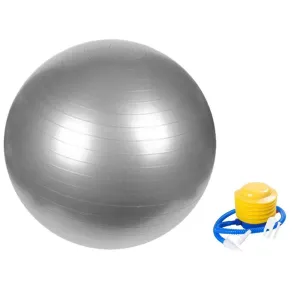 75cm Anti-Burst Yoga Ball with Pump for Home Gym