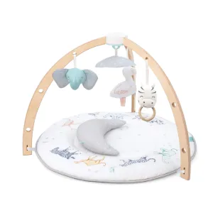 aden   anais Baby Activity Gym (Rising Star)