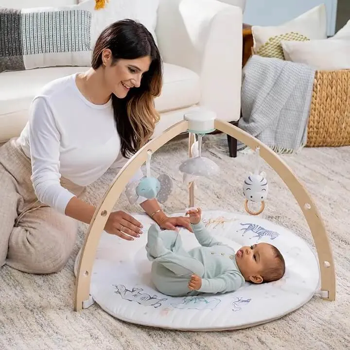 aden   anais Baby Activity Gym (Rising Star)