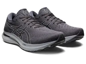 ASICS Men's Gel-Kayano (WIDE) 29