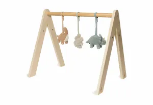 Babygym Toys - Roarsome