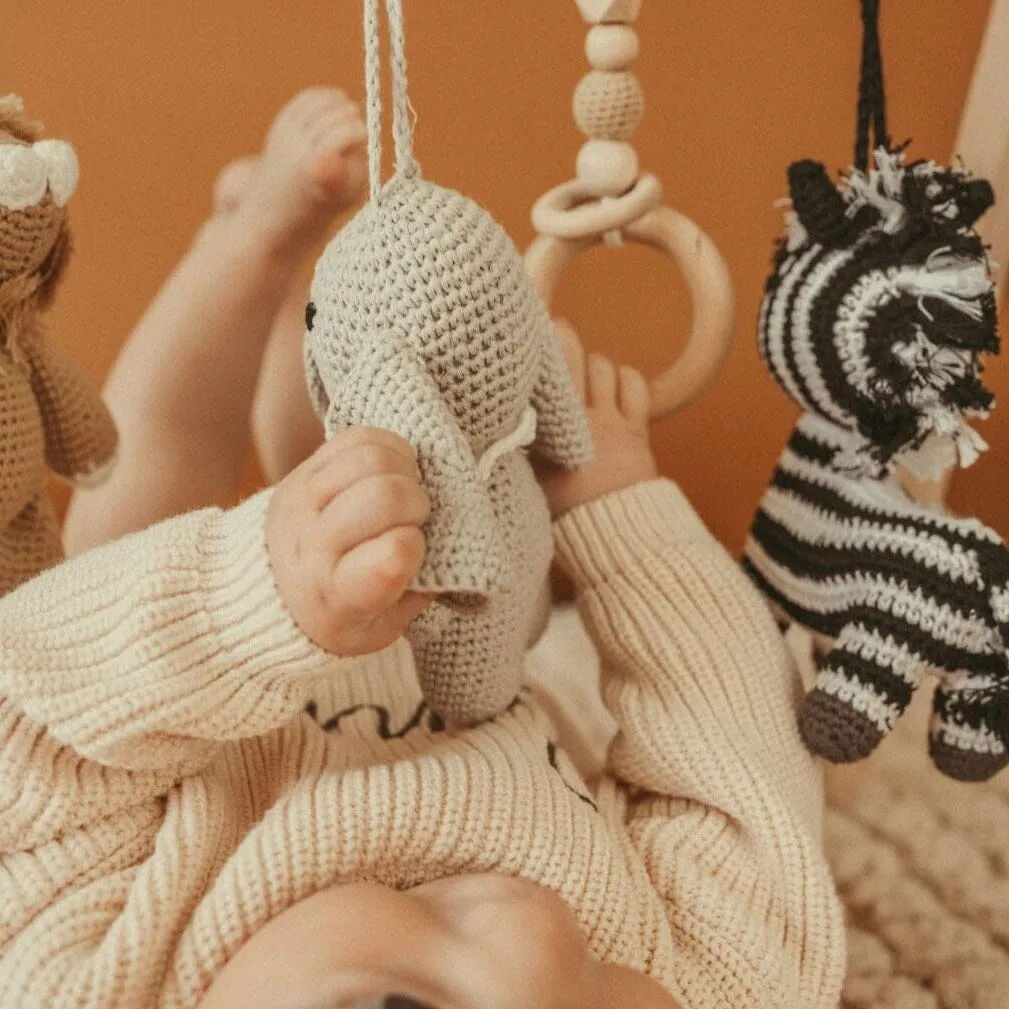 Handmade Crochet Toys for Baby Gym | Safari