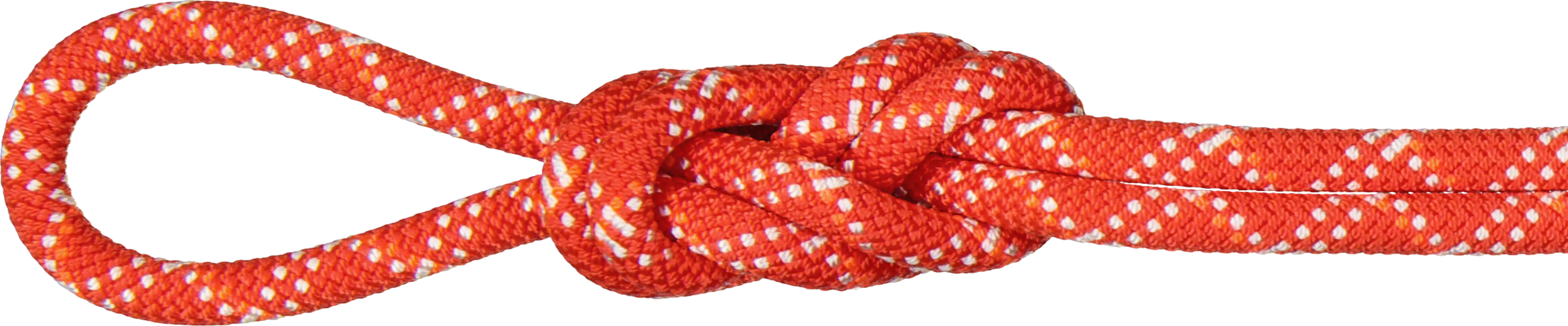 Mammut 9.5 Gym Classic Rope Classic Standard Raspberry-White | Buy Mammut 9.5 Gym Classic Rope Classic Standard Raspberry-White here | Outnorth