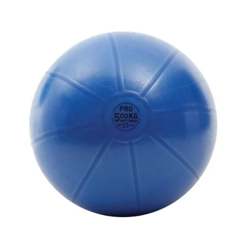 Toorx Gym Ball 55cm